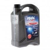 IGOL PROSURF 4T FC-W 10W30, 5L